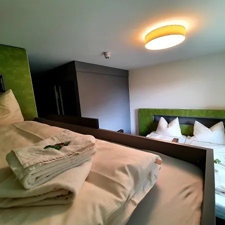 Gemuend Vogelsang Hotel *