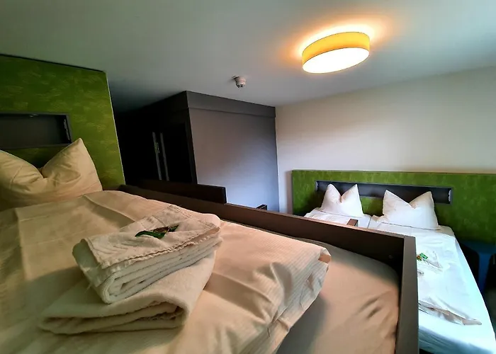 Gemuend Vogelsang Hotel *